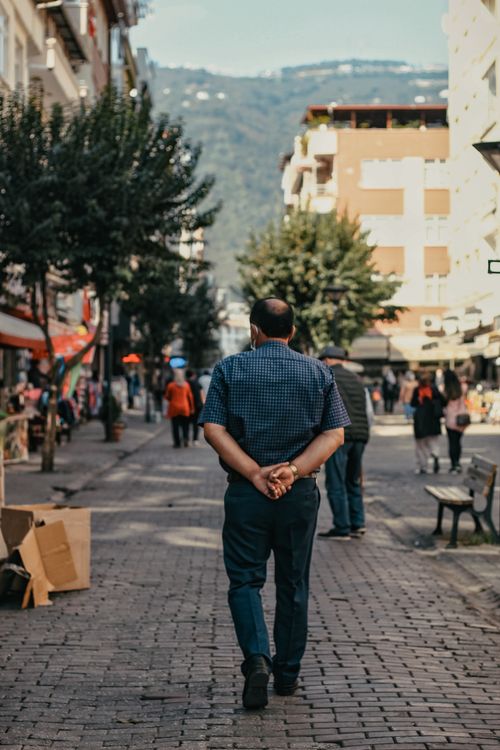 Free Back view of anonymous male in casual clothes walking calmly on paved street between buildings and trees in city on sunny summer day Stock Photo