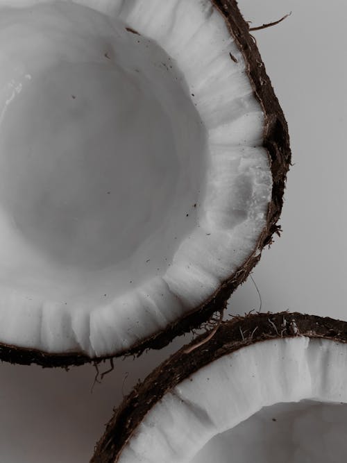 Close Up Shot of a Coconut Fruit