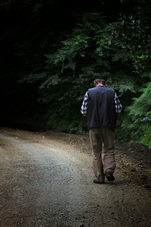 Free Back view of lonely senior male in casual clothes and hat walking along path in dark coniferous forest in summer day Stock Photo