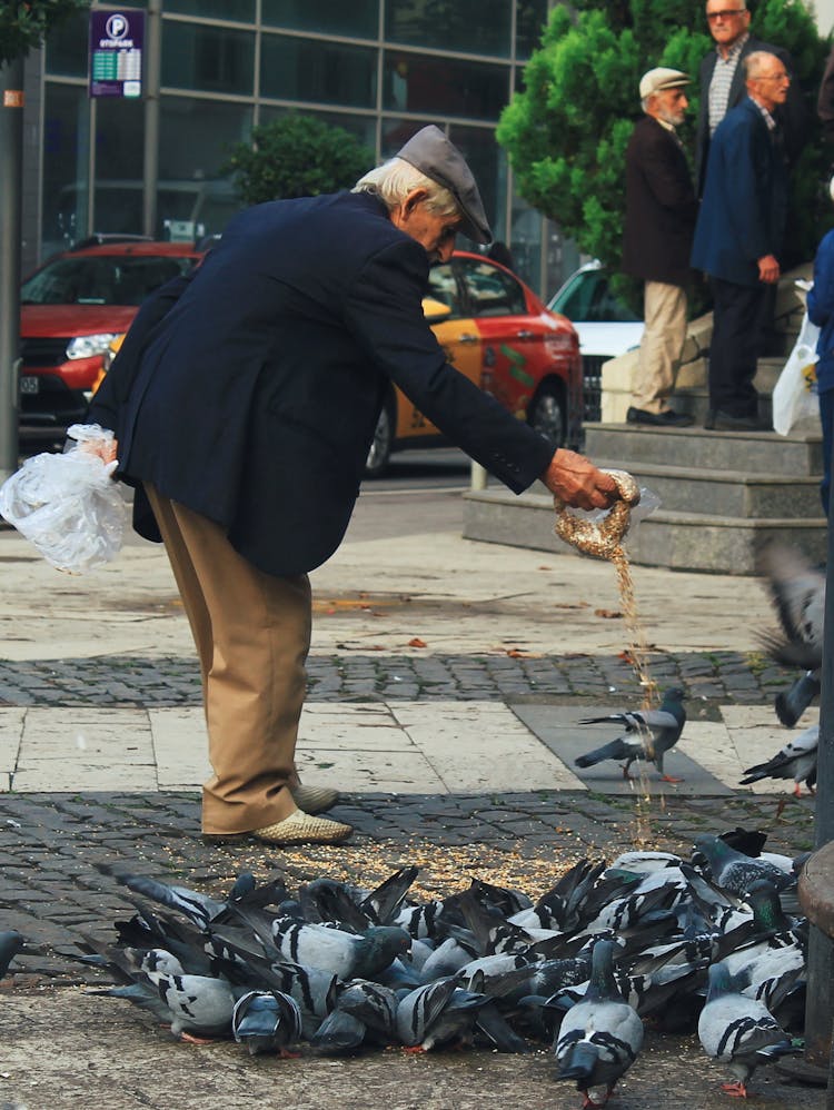 Senior Man Feeding Birds On Street