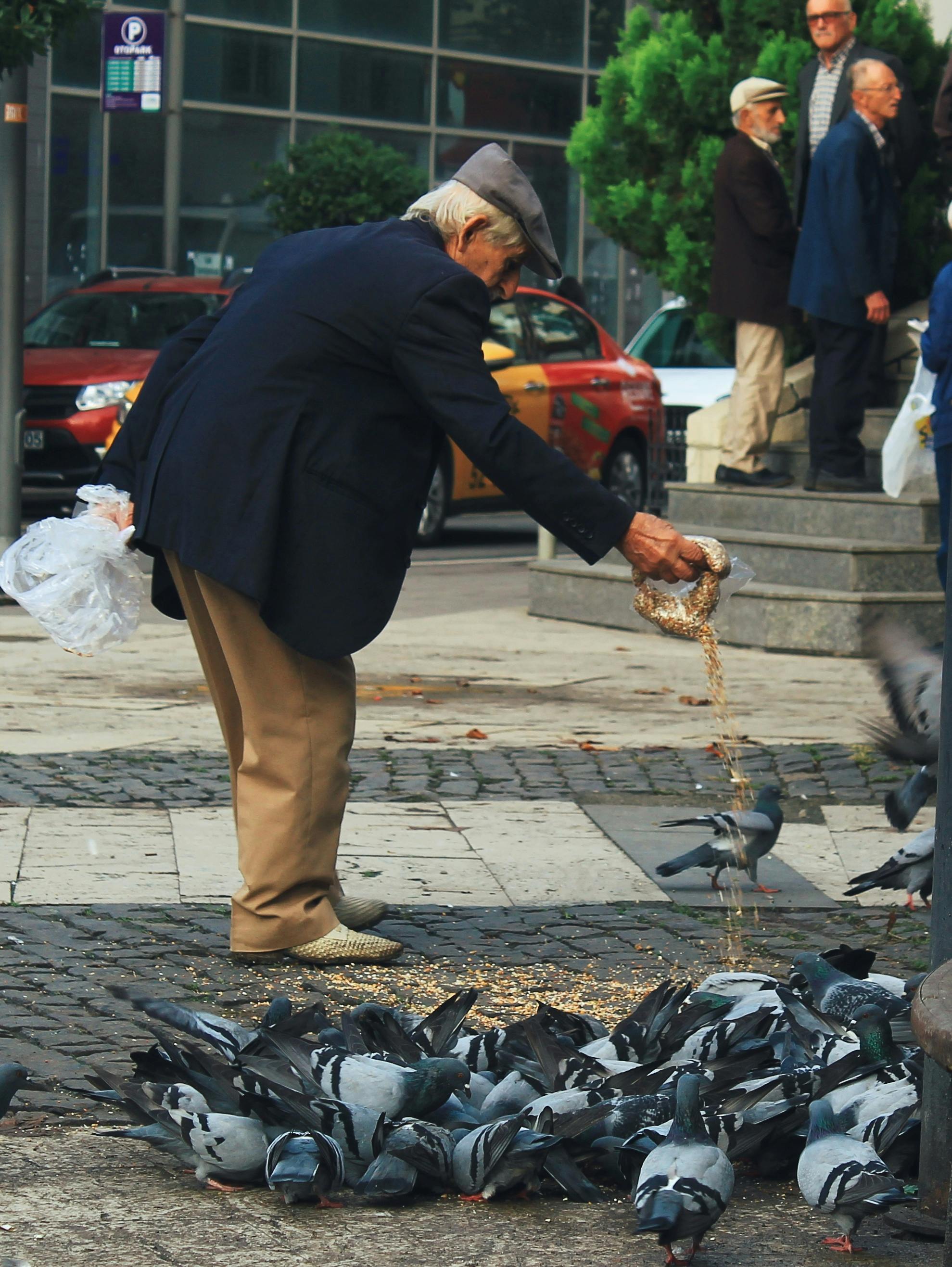 Man Feeding Birds · Free Stock Photo