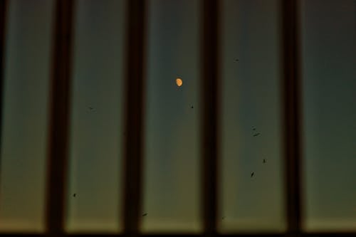 View of dark sky with moon through window with metal bars