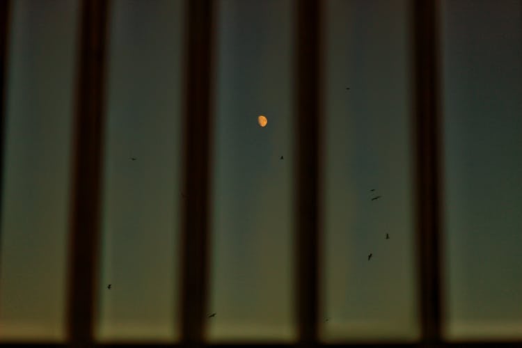 View Of Dark Sky With Moon Through Window With Metal Bars