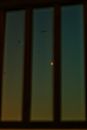 View of dark blue cloudless sky with yellow moon and flying birds through window with bars shadow