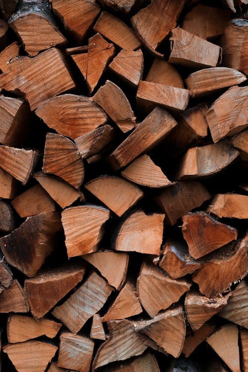 Close-Up Shot of  Stacked Firewood