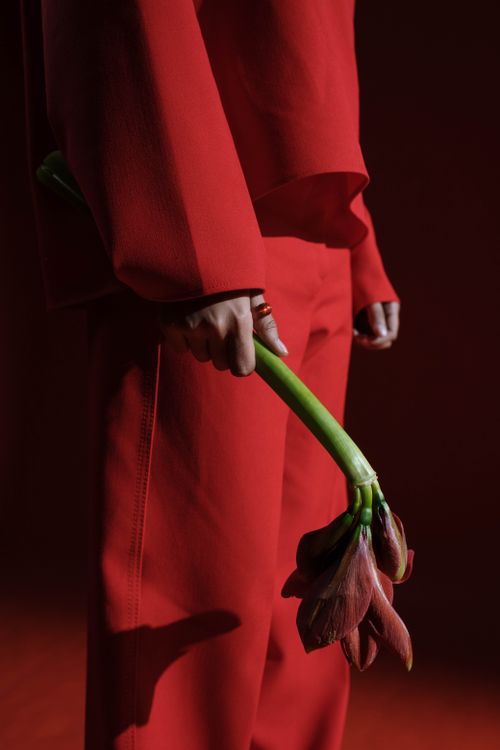 Free Close-up of a person in red attire holding a red amaryllis flower, showcasing minimalism and color contrast. Stock Photo