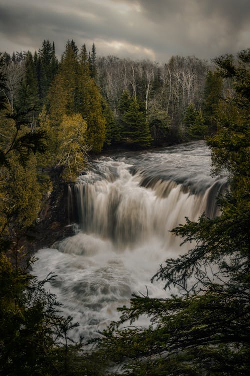 Foto profissional grátis de árvores, cachoeiras, cênico