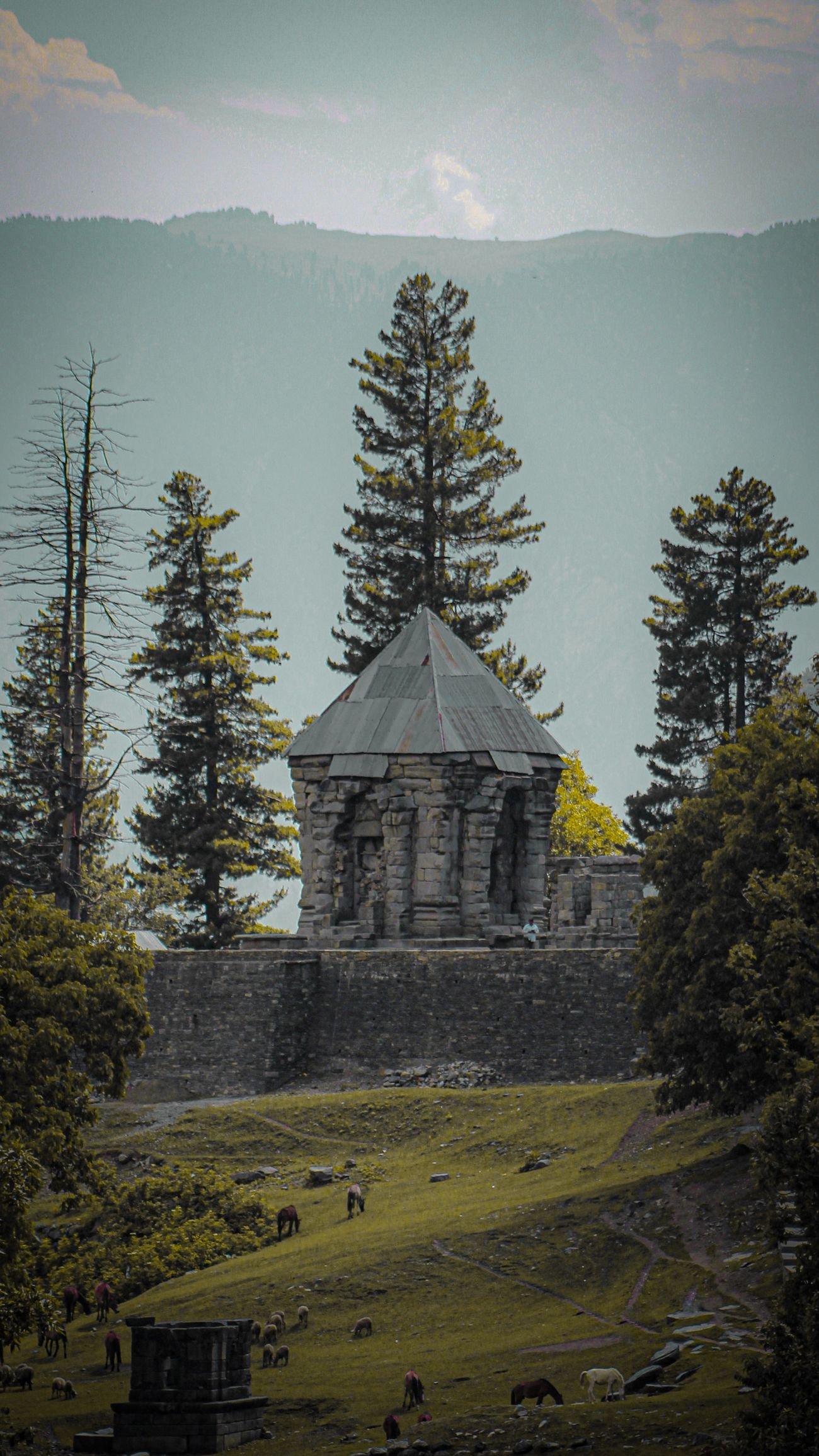 View of Yusmarg — photo 3