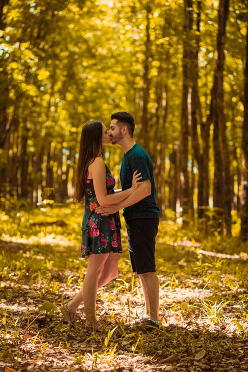 Free A loving couple shares a tender moment in a sun-dappled forest setting. Stock Photo