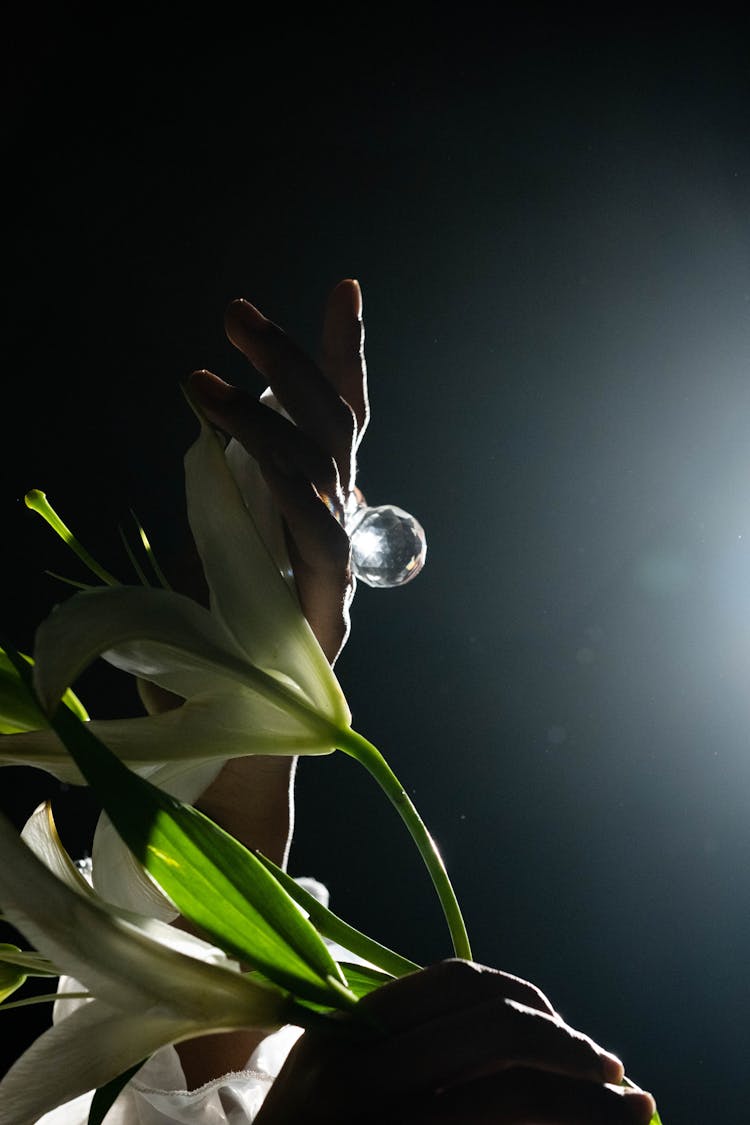 Person Holding Transparent Necklace