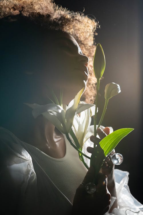 Free A Woman Holding Lily Flowers Stock Photo