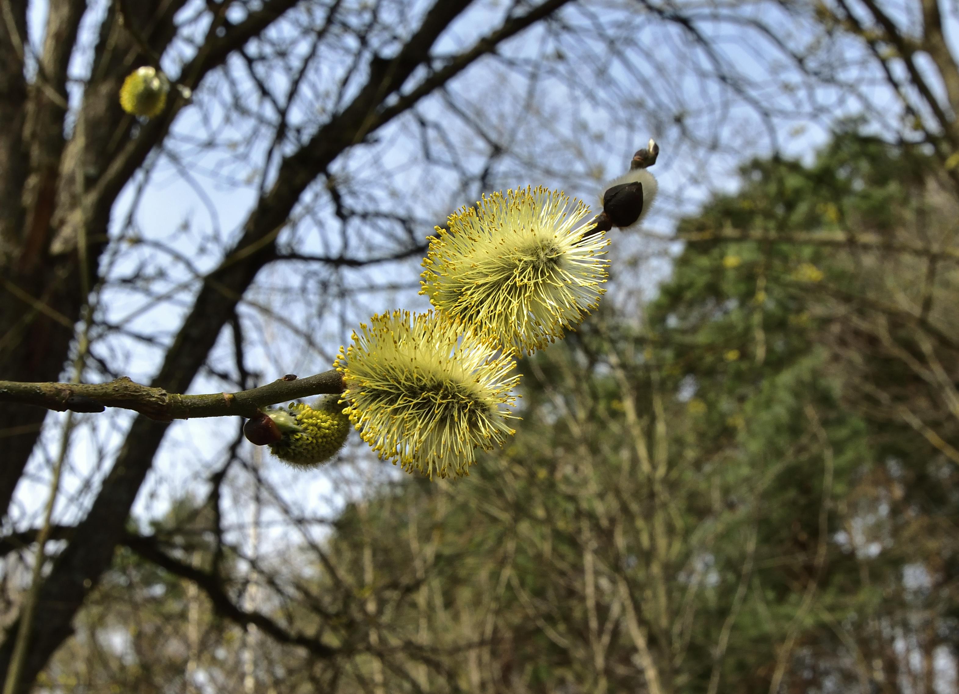 Природа и природный пейзаж в фотографиях
