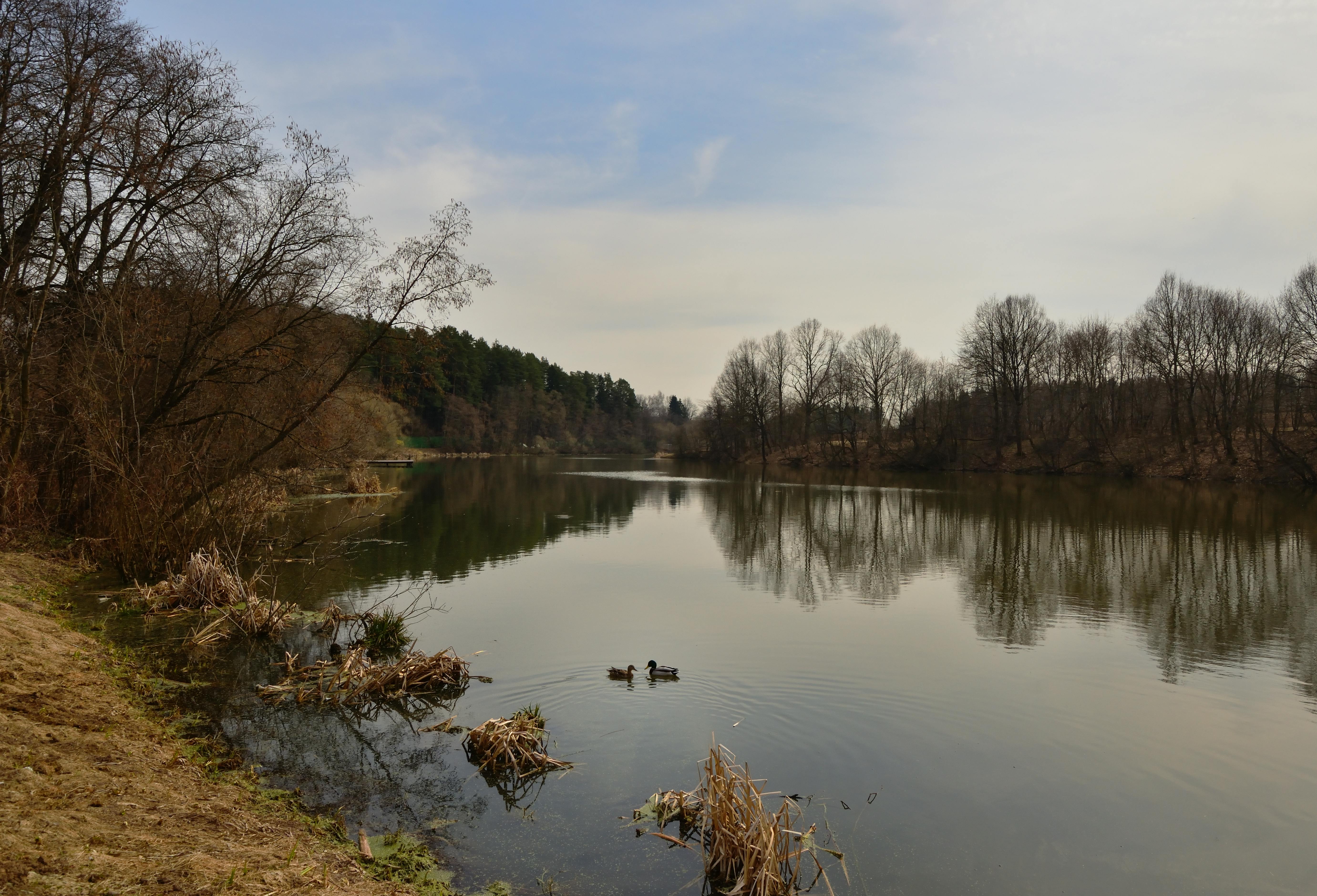 Природа и природный пейзаж в фотографиях