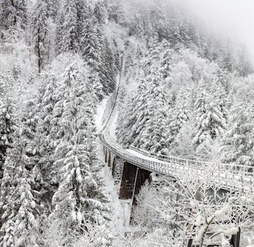A scenic view of a snow-covered railway winding through a foggy forest in winter.