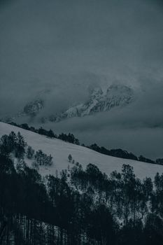 Snow-covered Monblanc landscape with dark clouds and trees, capturing the serene winter beauty.