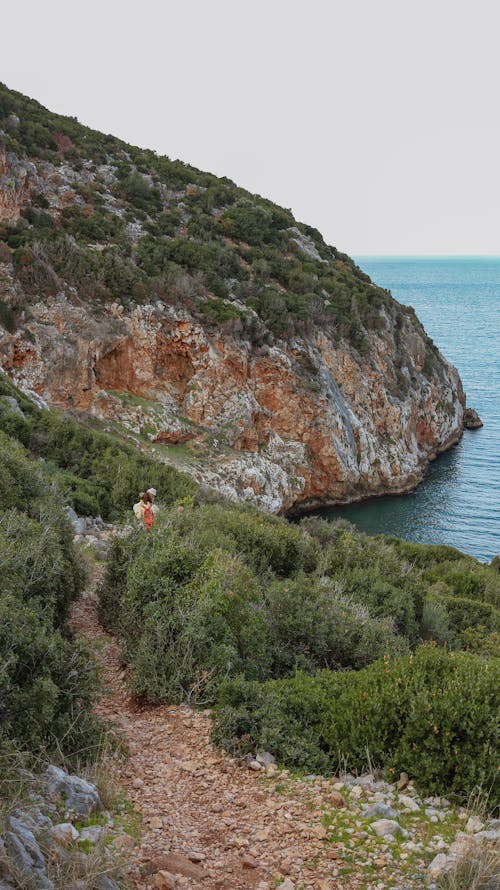 Wavy rough pathway between lush green plants on mount against endless ocean under light sky in summertime