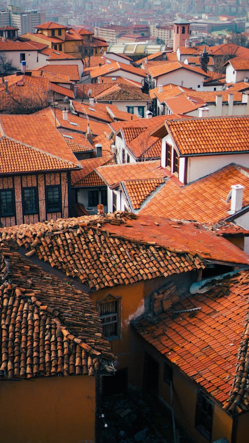 Complex of aged dwelling building exteriors and tiled roofs with chimneys in city in daytime