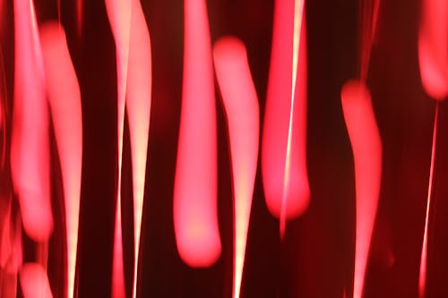 Free stock photo of blur, lights, motion