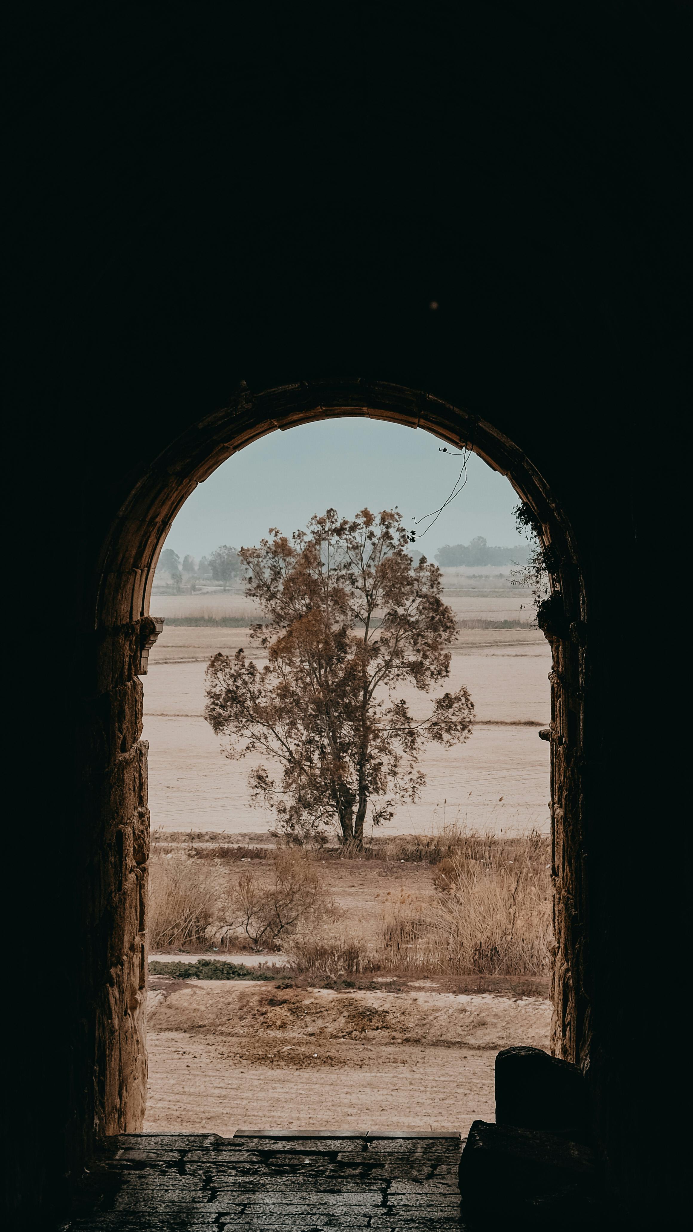 Arched passage of ancient stone building with dim light overlooking tree and grassy meadow in rural area on summer day