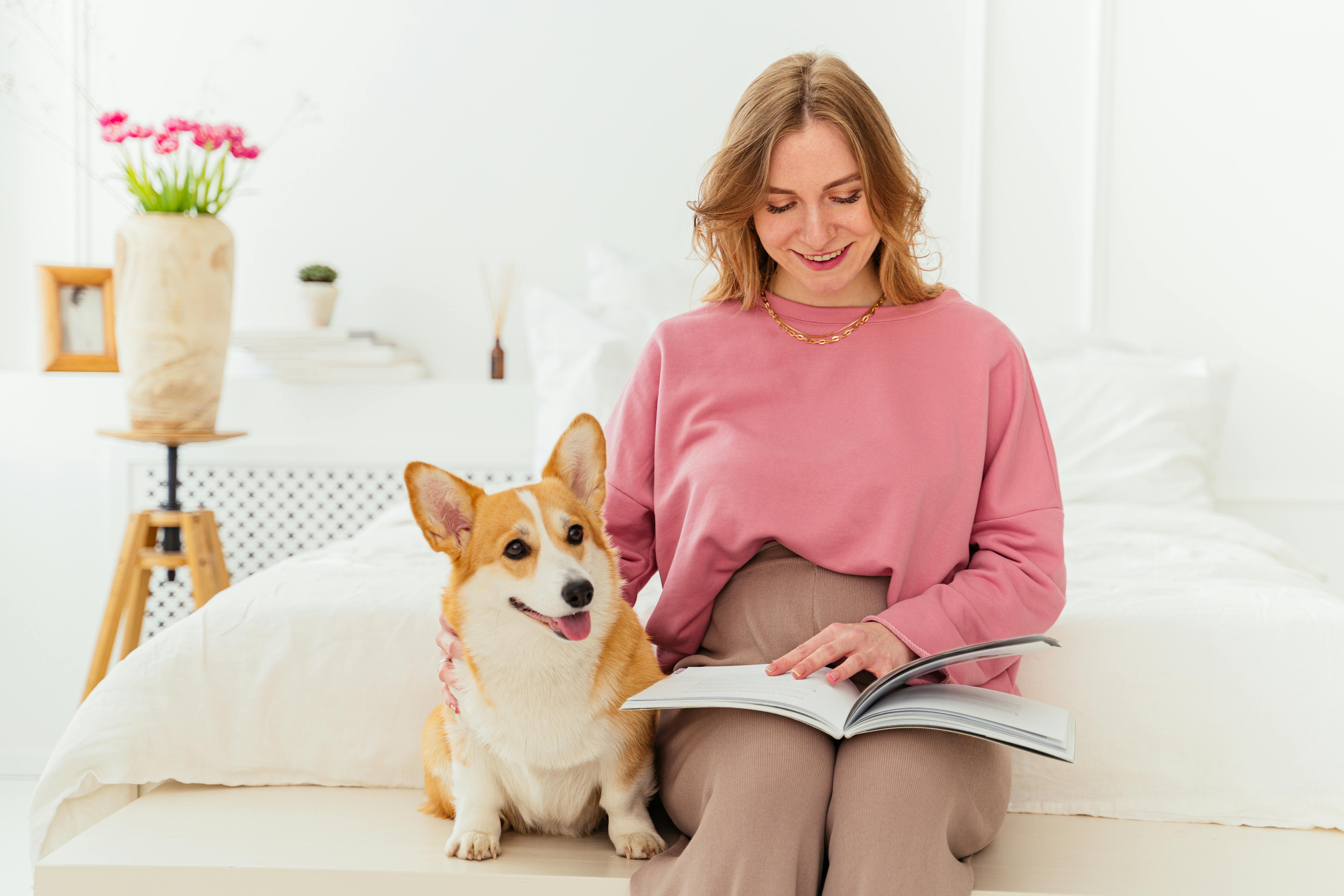 corgi sits with woman reading book