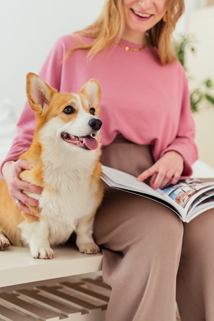 A Dog Sitting Beside The Woman Reading A Magazine