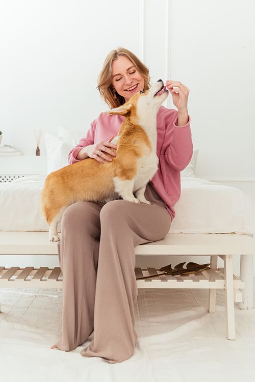 Free Smiling woman sitting on bed, bonding with her Pembroke Welsh Corgi indoors. Stock Photo