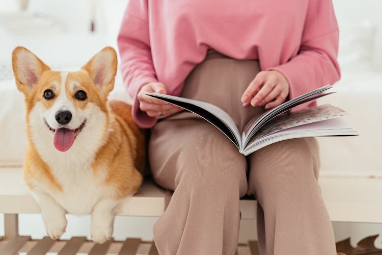 Pregnant Woman Reading A Magazine Beside Her Pet Corgi