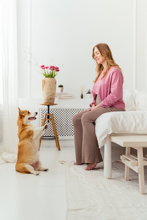 Woman Looking at the Cute Dog