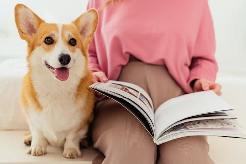 Dog Beside a Person Reading