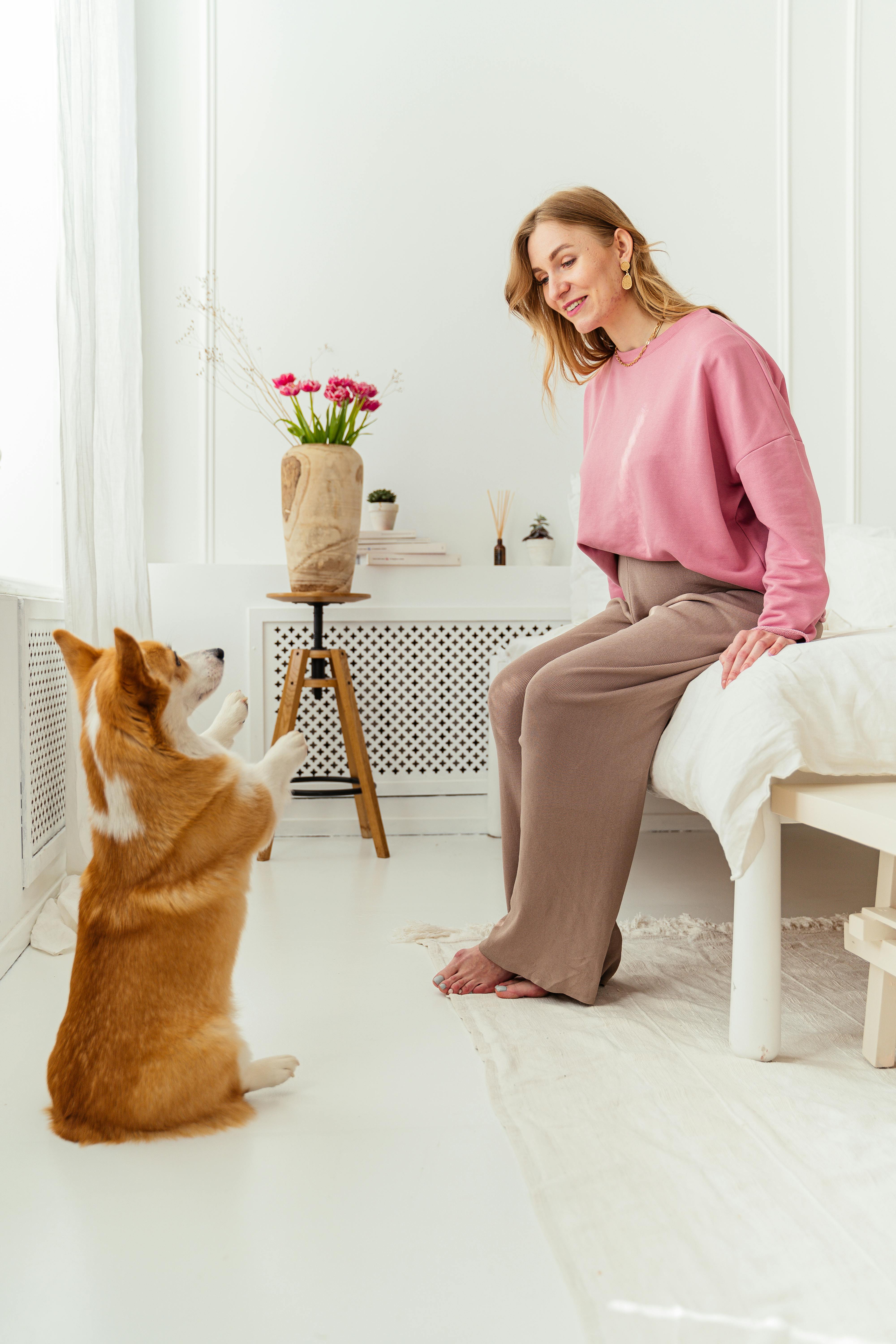 a woman playing with her pet corgi