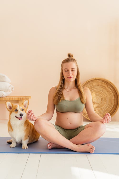 健康, 健康的生活型態, 動物 的 免費圖庫相片