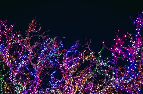 Featured image of post Christmas Lights Bakground : Select from premium christmas lights of the highest quality.