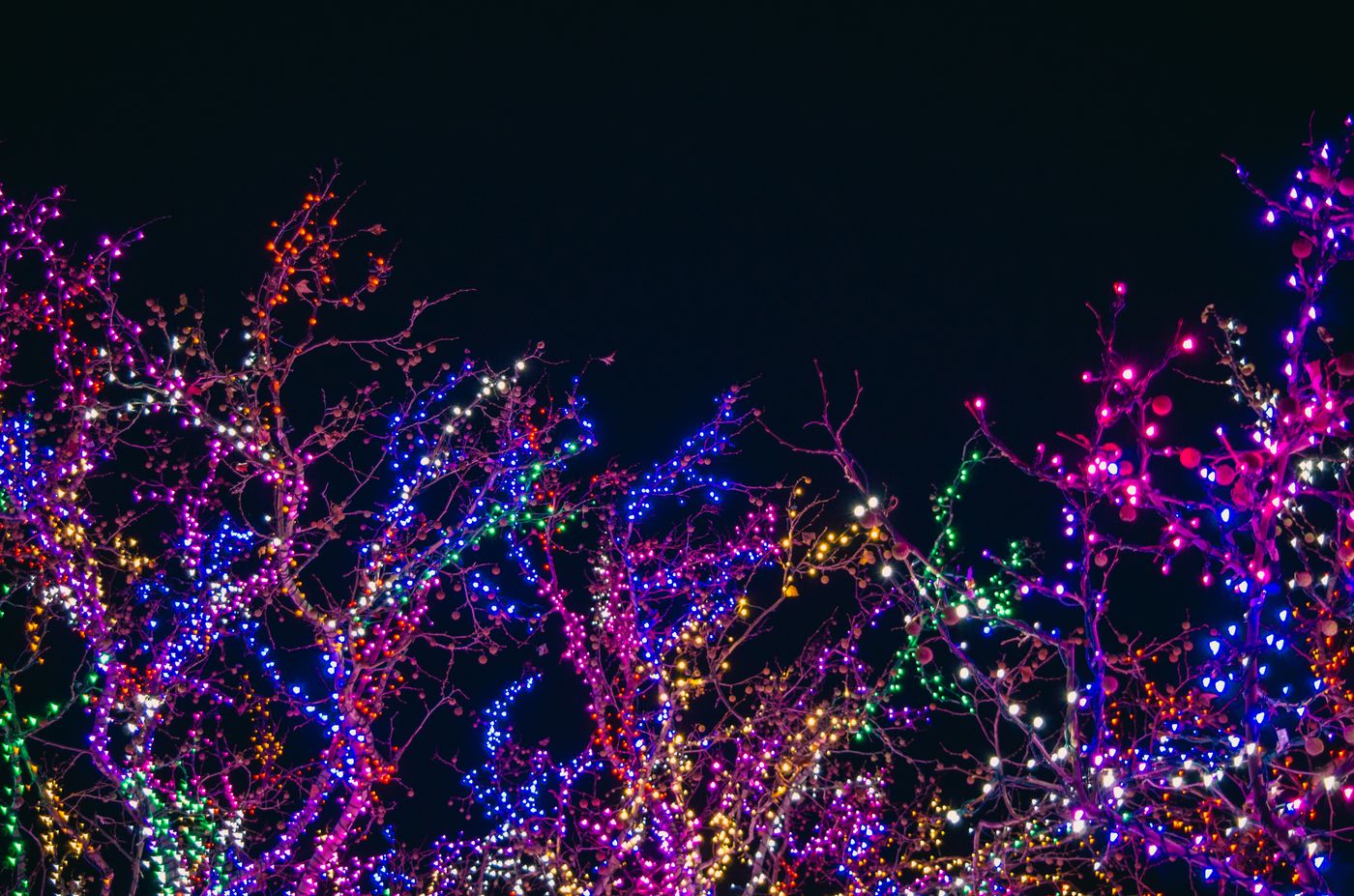 Warm fairy lights and string-light bokeh creating a soft venue ambiance