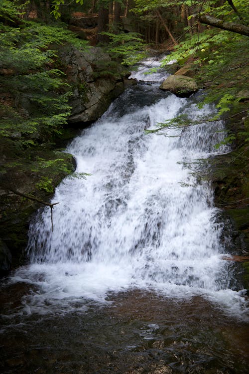 Immagine gratuita di cascata, natura, ruscello