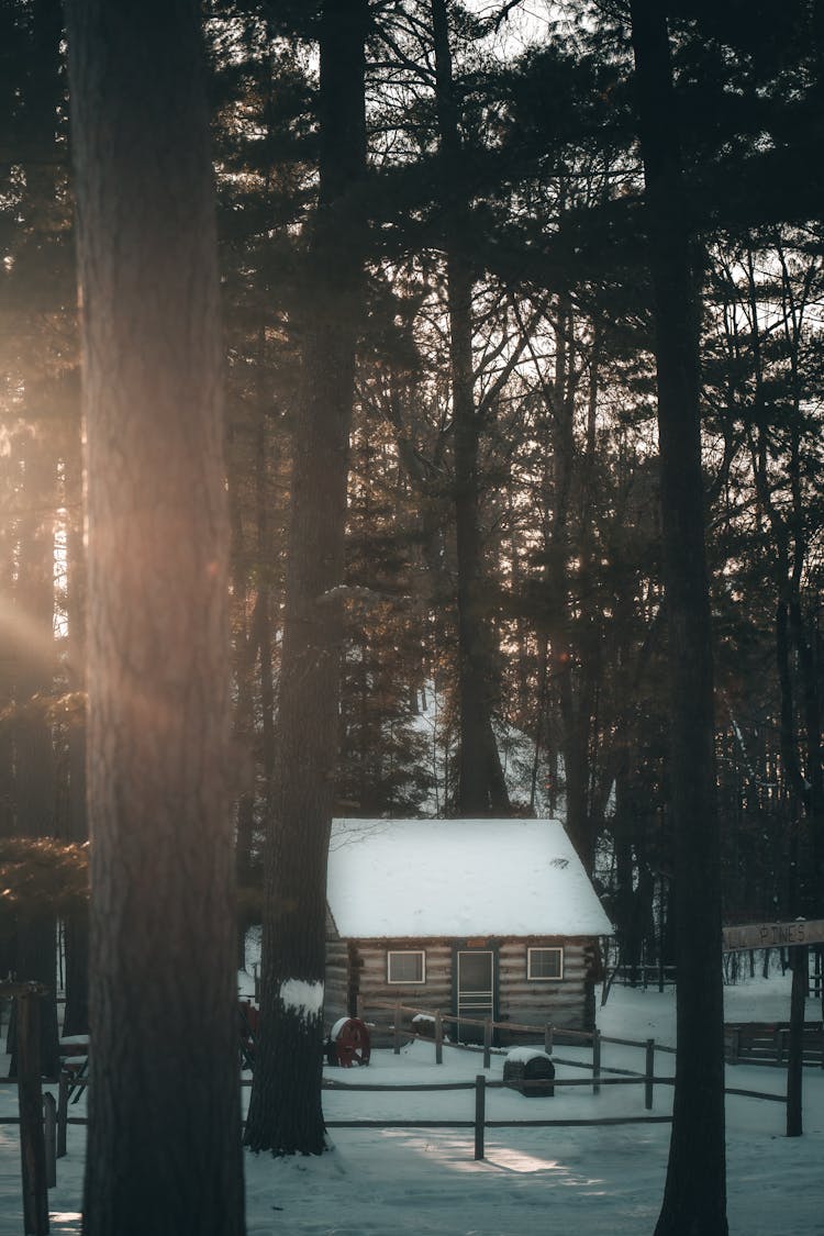 A Snow Covered Cabin In The Forest