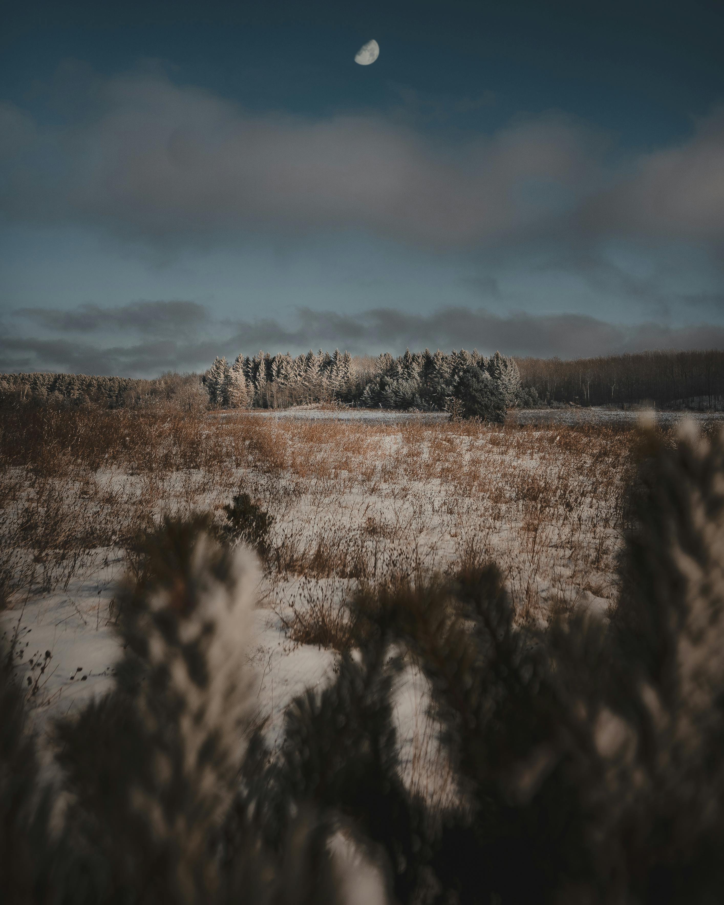 Marcus Murphy - Photography