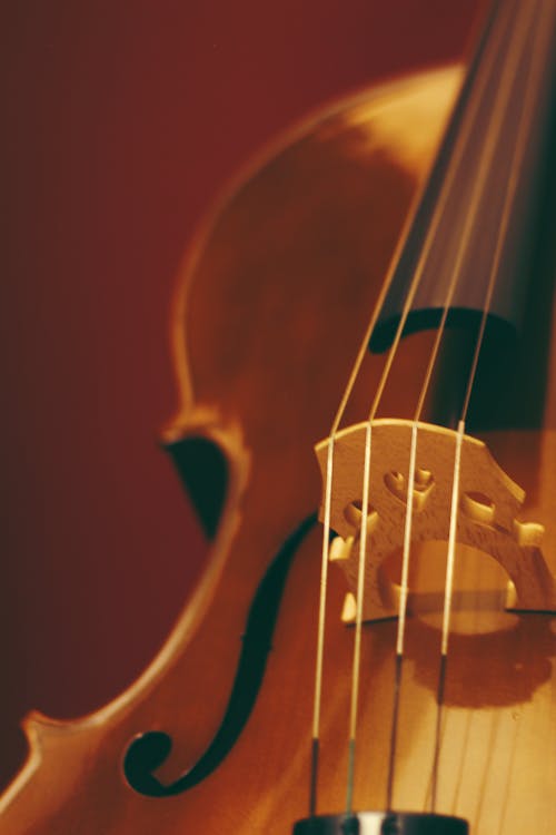 Фокусная фотография струны скрипки