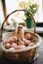 Brown Chick on Brown Woven Basket