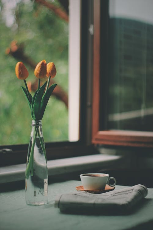 ฟรี คลังภาพถ่ายฟรี ของ กาแฟ, ดอกทิวลิป, ดอกสีเหลือง คลังภาพถ่าย