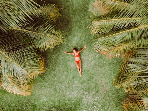 Free Woman lying on green grass among palms at resort Stock Photo