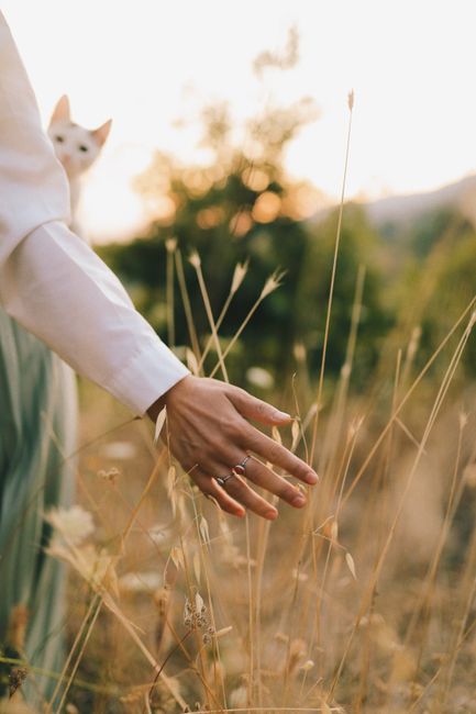 A hand adorned with rings gently touches tall grass in a peaceful meadow, with a curious cat in the background.