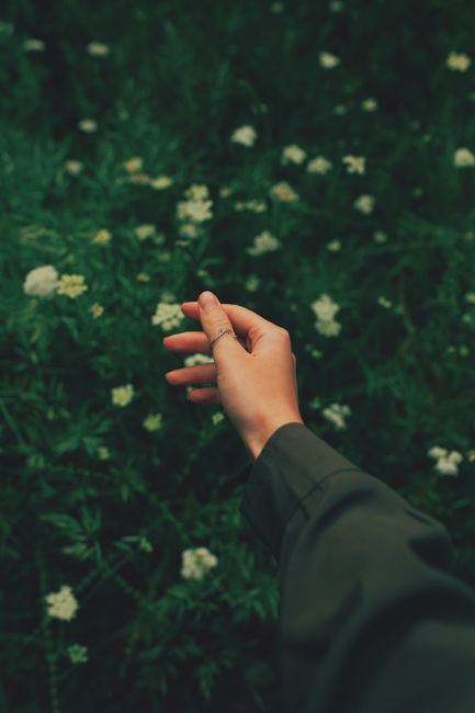 An elegant hand with a ring extends over lush greenery dotted with white flowers.