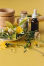 Yellow Flowers on White Ceramic Plate