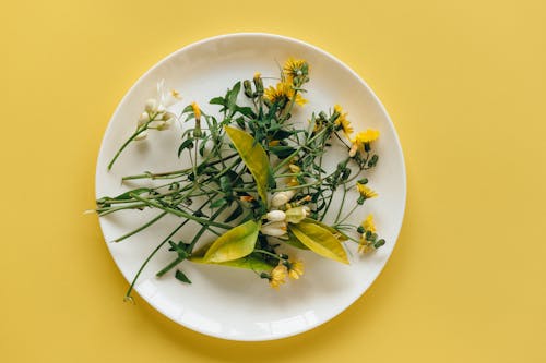 Ilmainen kuvapankkikuva tunnisteilla keltainen tausta, keraaminen lautanen, kukat