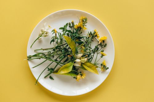 Free A top view of delicate flowers and leaves on a white plate with a vibrant yellow background. Stock Photo