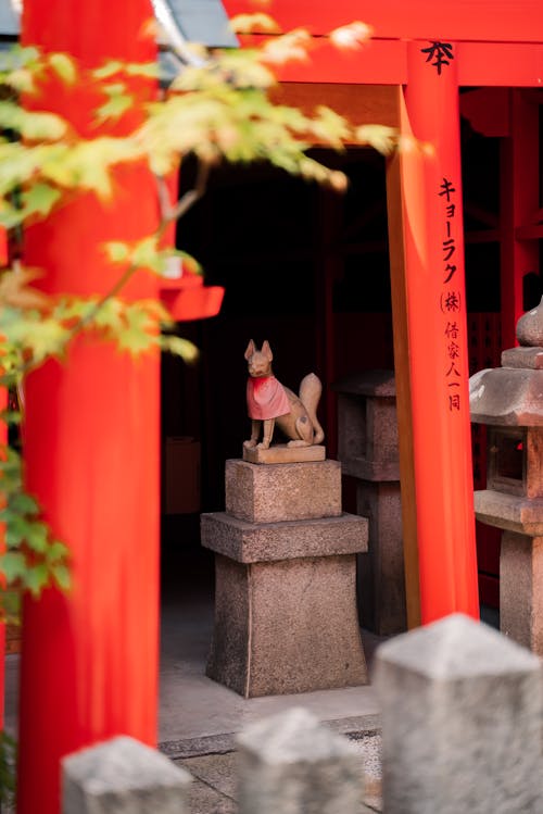 Gratis arkivbilde med berømt sted, fushimi inari-taisha, hund