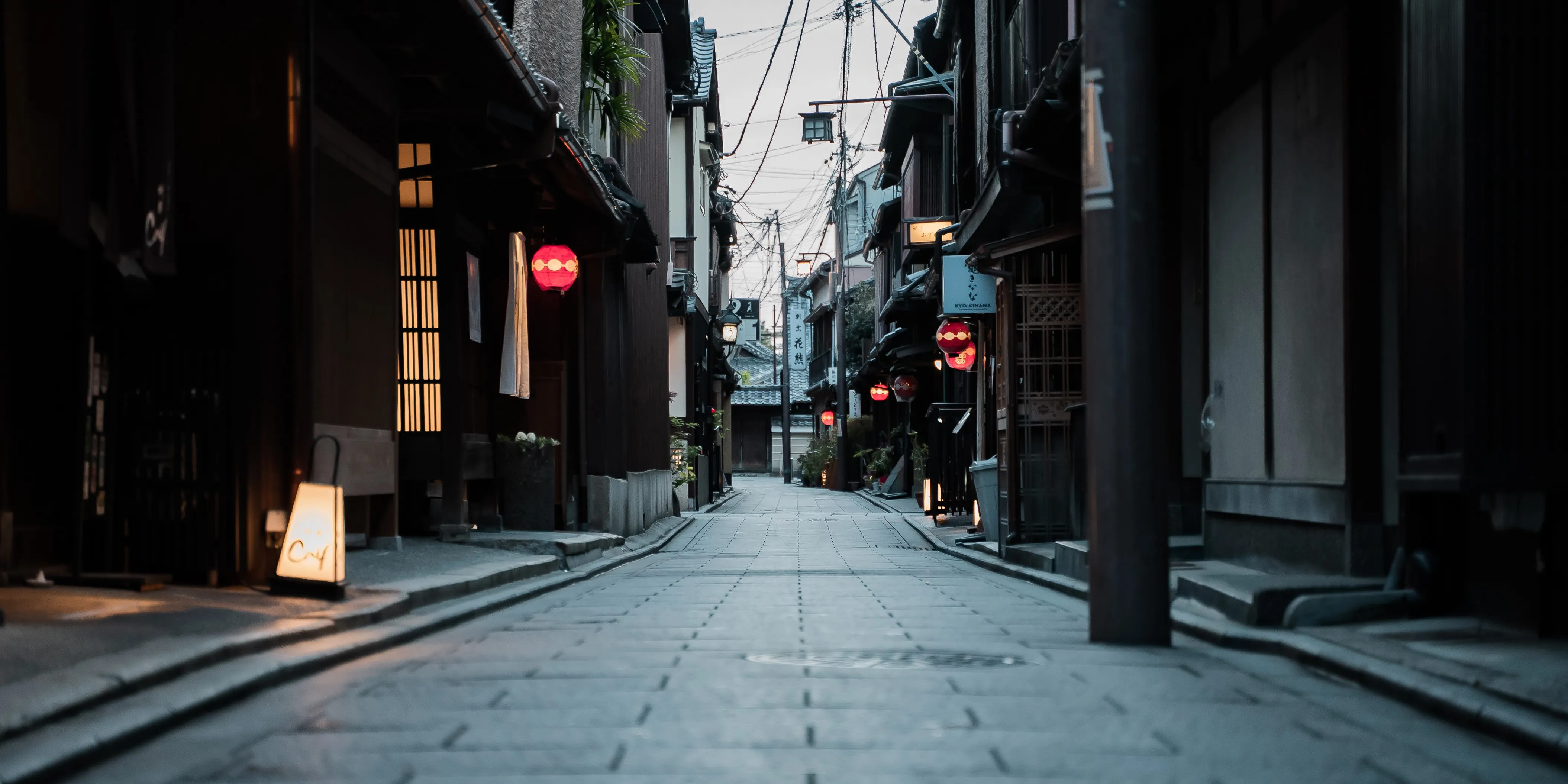 Private Maiko Evening in Kyoto: Dance and Talk