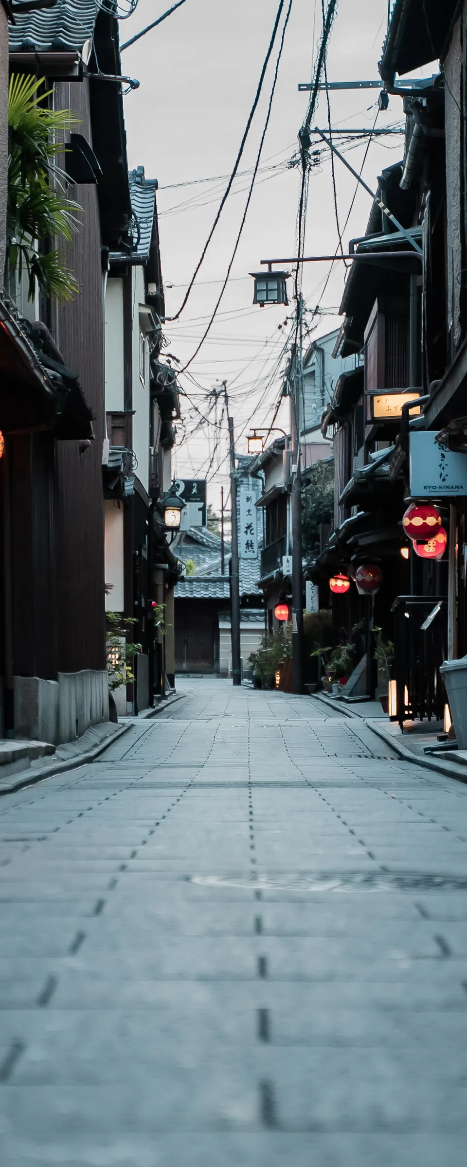 Private Maiko Evening in Kyoto: Dance and Talk