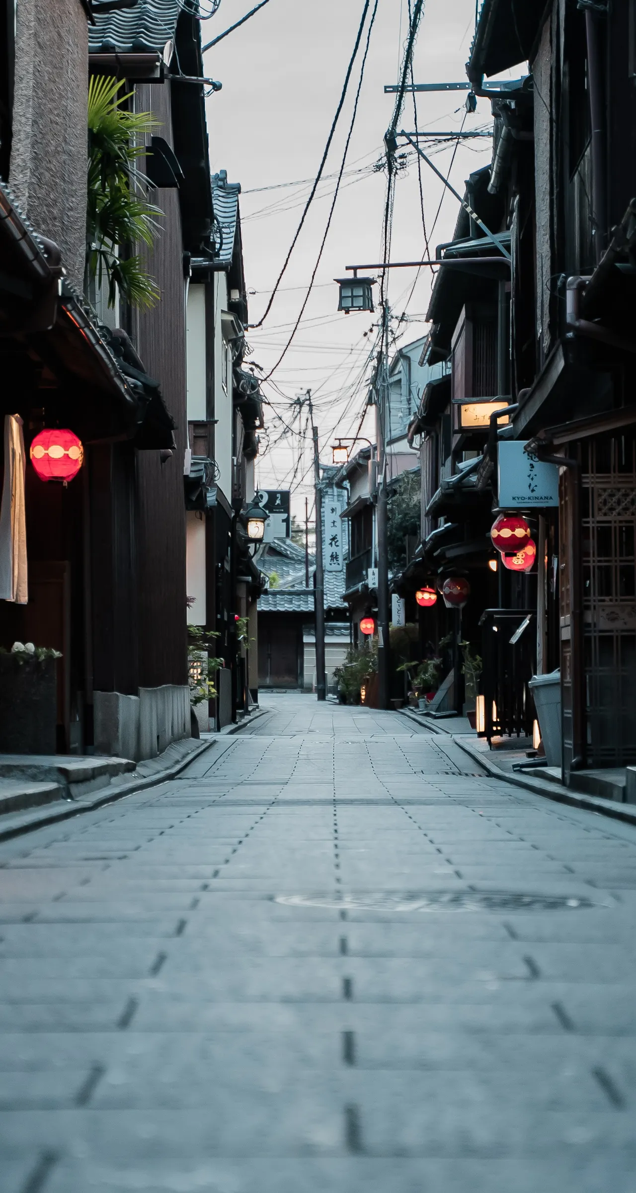 Private Maiko Evening in Kyoto: Dance and Talk