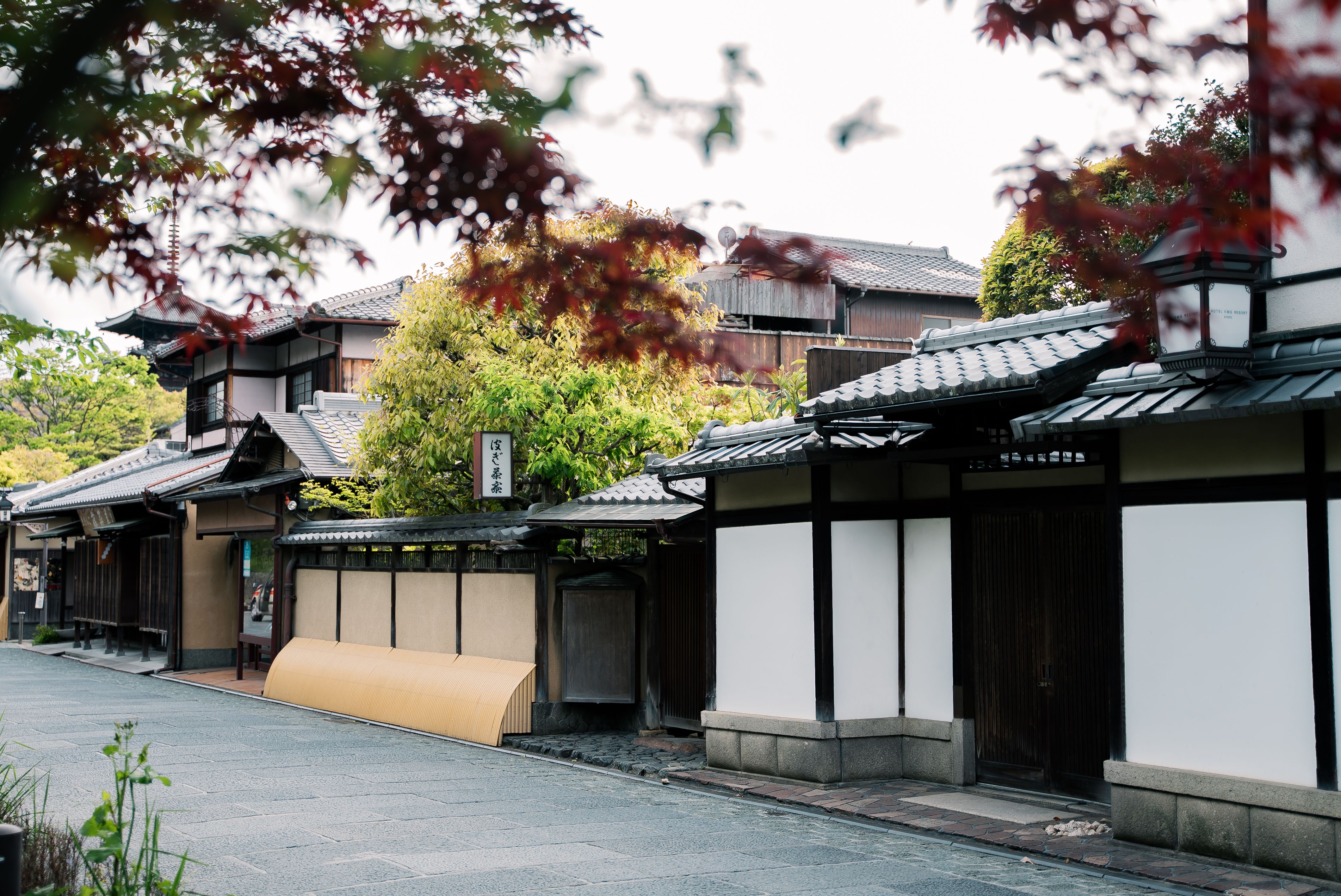Kyoto's Ephemeral Ballet: The Ultimate Photography Guide to Sakura Fubuki Spots